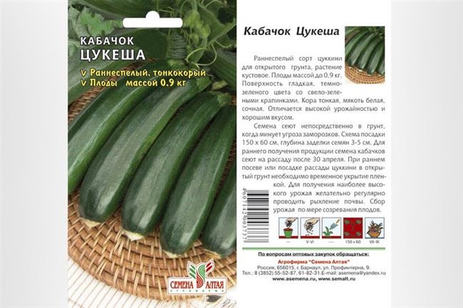 Уход за кабачками