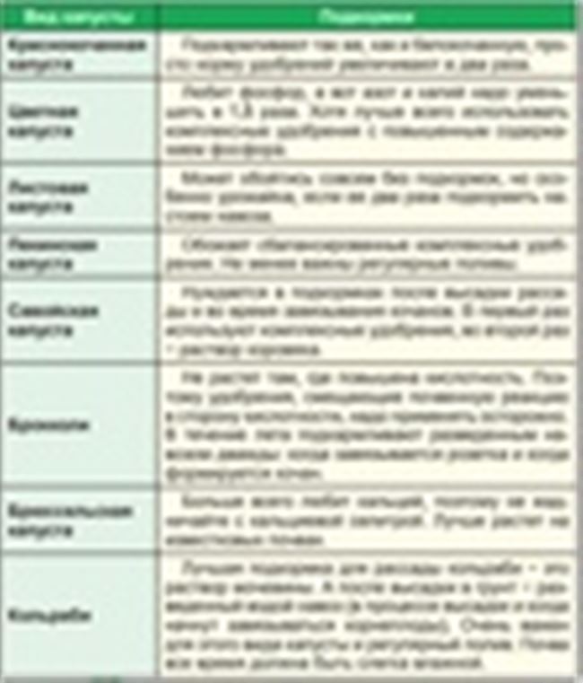 Болезни капусты по фазам роста (семенники, рассада, высаженные растения, головки на хранении)