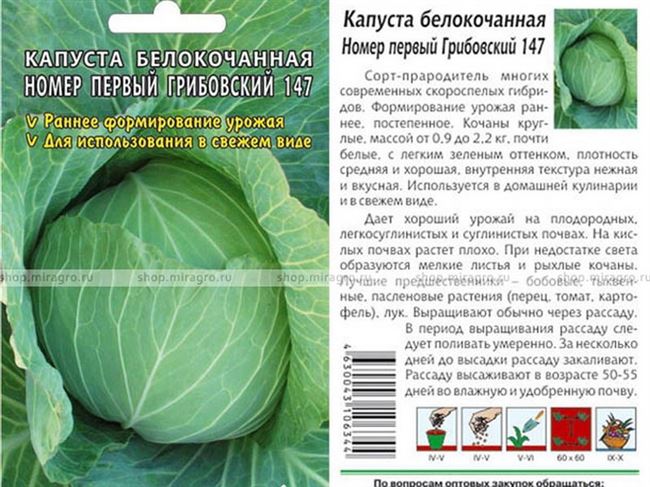 Особенности полива