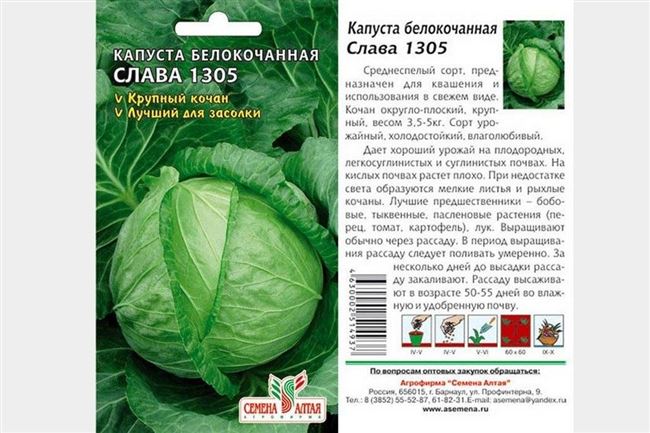 Плюсы и минусы сорта