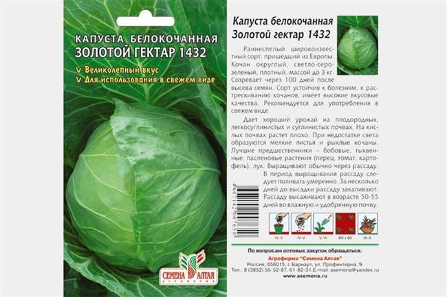 Размножение культуры