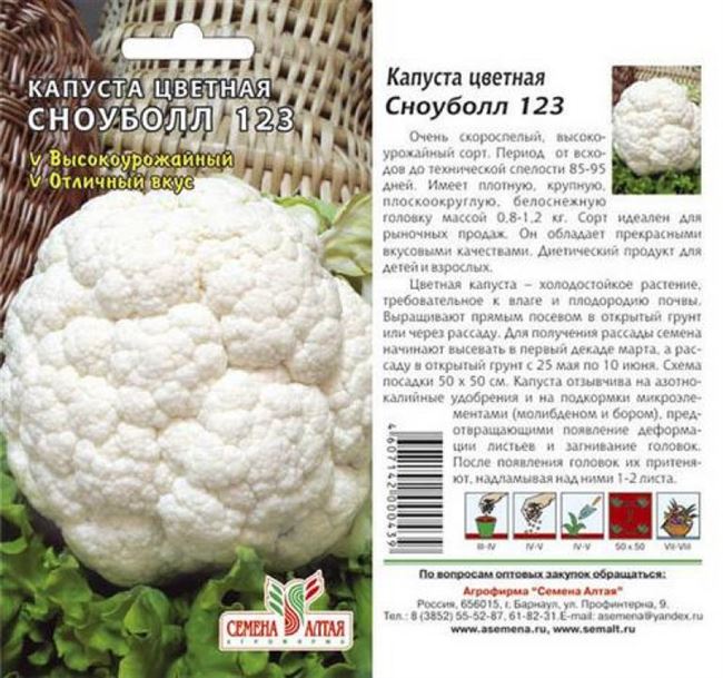 Посадка и уход за капустой Сноуболл 123