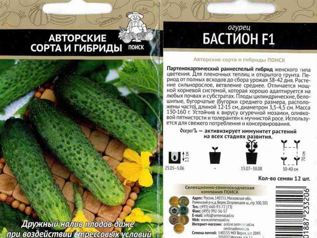 Общая характеристика холодостойких и теневыносливых сортов