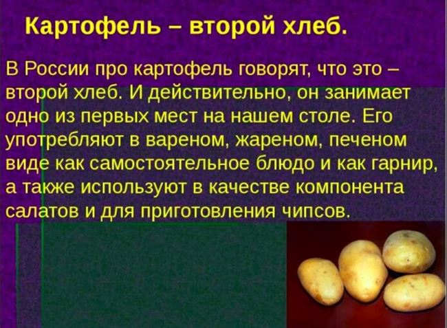 История происхождения