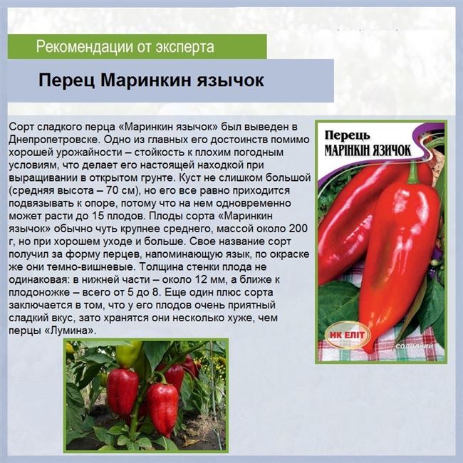 Основные качества плодов, урожайность
