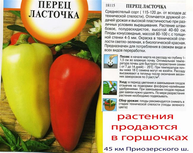 Описание и характеристики сладкого перца Ласточка