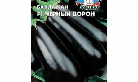Отзыв: Семена Седек Баклажан F1 Черный ворон - Ранний, вкусный.