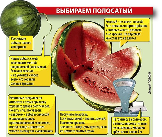 Общая профилактика болезней