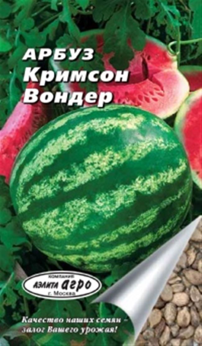 Компания