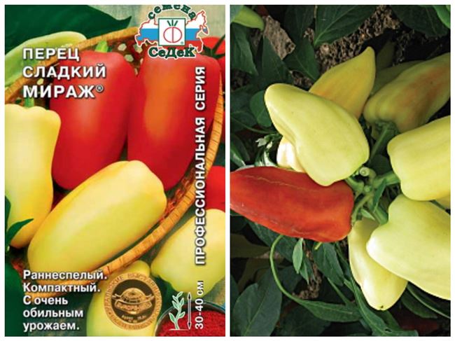 Посадка перца Зорька