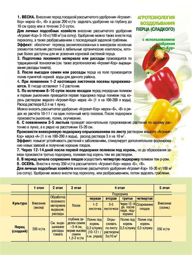 Агротехника выращивания перца Игрок, посадка и уход