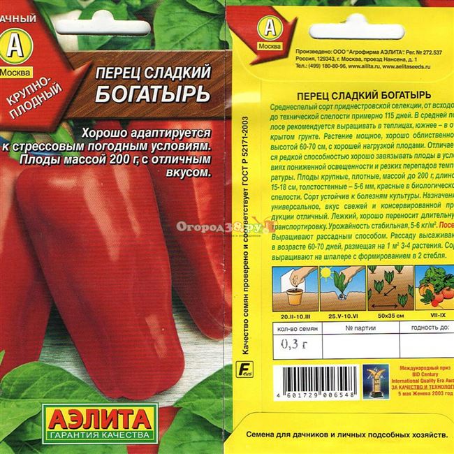 Описание сорта Игрок, фото, отзывы