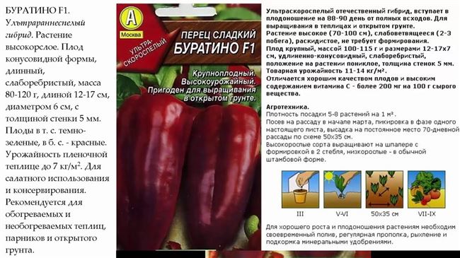 Выращивание и уход