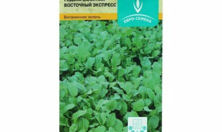 Семена Редька Восточный экспресс, салатная, цв/п, 0,5 г
