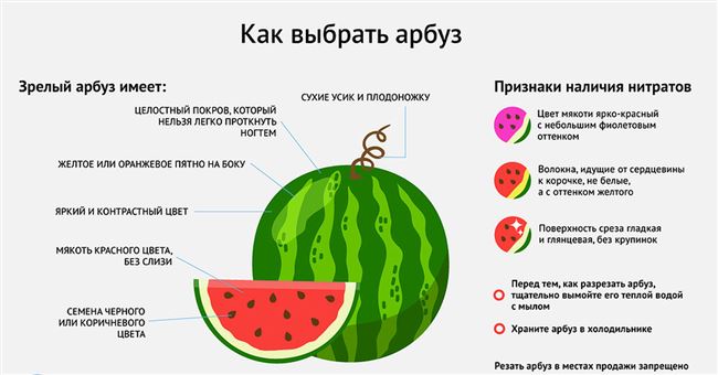 Признаки отравления бахчевыми