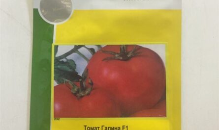 Семена томата Ансамбль F1, Hazera / Хазера, уп. 1000 шт