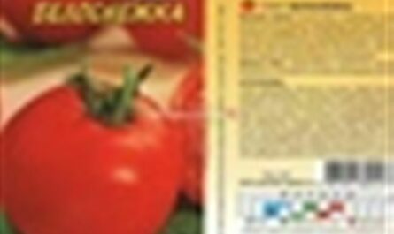 Характеристика сорта томата Белоснежка, выращивание и уход за кустами
