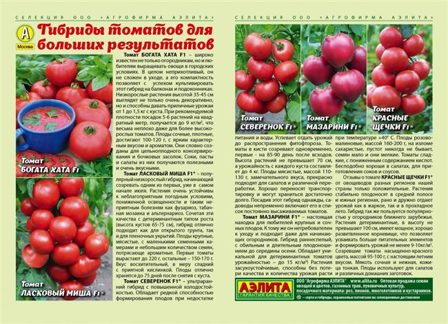 Томат Василий: характеристика и описание гибридного сорта с фото