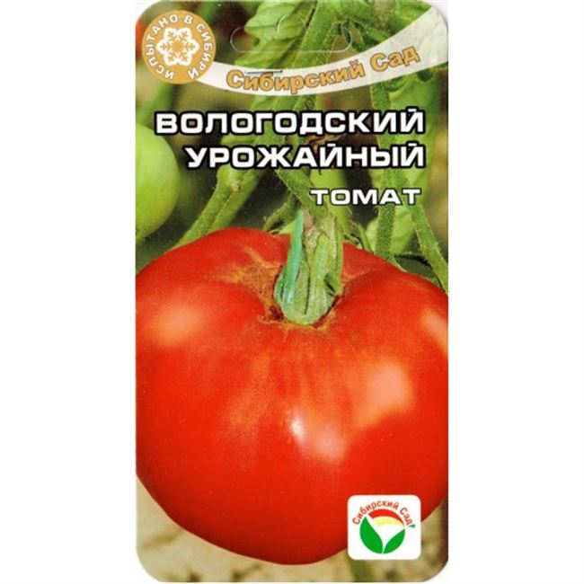 Вологодский урожайный томат. Томат Вологодский урожайный, 20шт