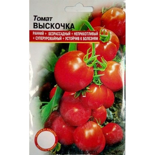 Семена томата Выскочка