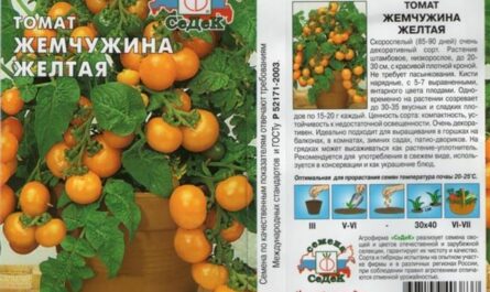 Томат Жемчужина оранжевая Седек