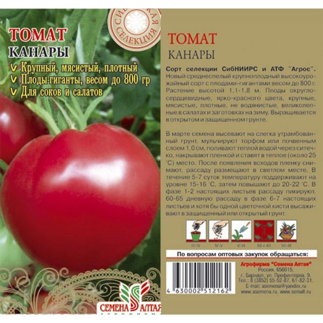 Описание томата сорта Канары, выращивание и характеристики