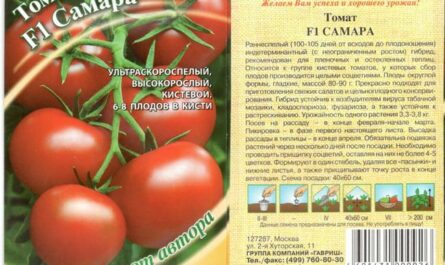 Семена и рассада овощных культурв России