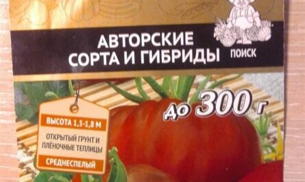 Характеристика и описание сорта томата Негритенок, его урожайность