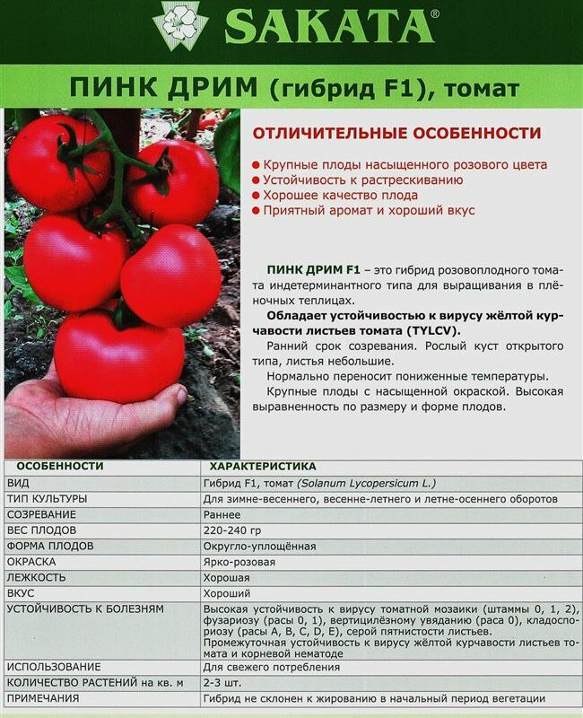 Описание томата Пандароза и агротехника культирования гибрида
