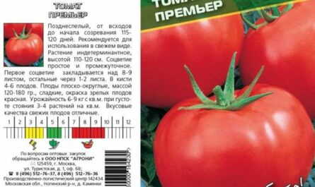 Отличный салатный сорт томатов «Премьер»: описание, характеристики, особенности выращивания