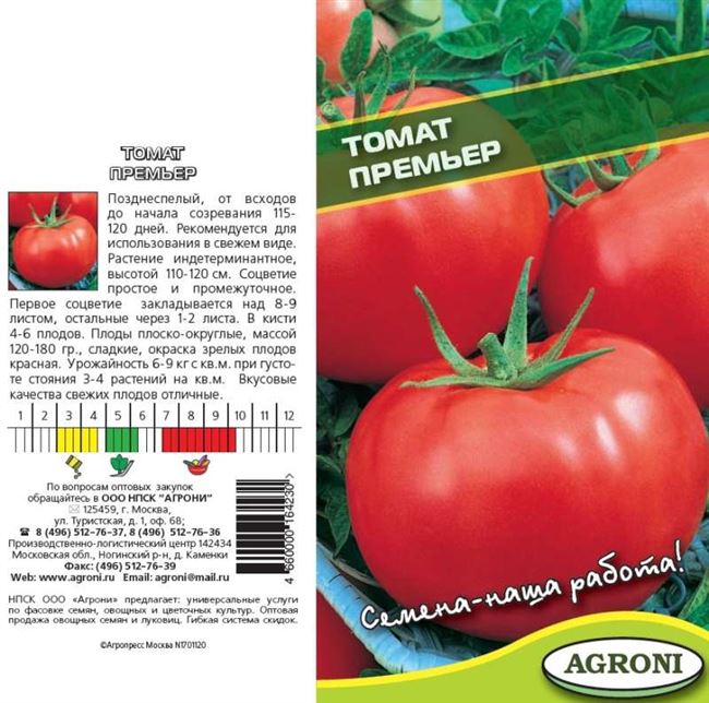 Отличный салатный сорт томатов «Премьер»: описание, характеристики, особенности выращивания