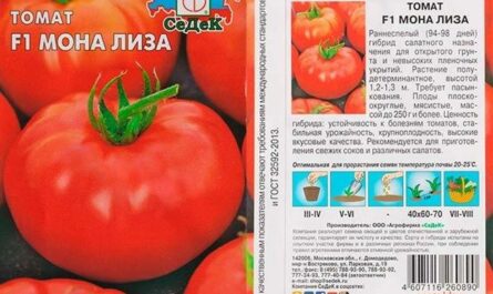 Описание сорта томата Розализа, его характеристика и выращивание