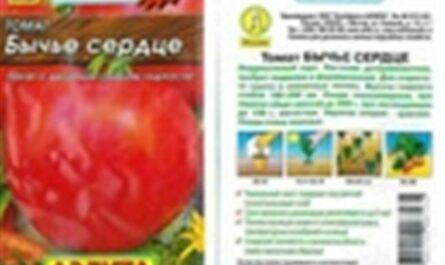 Описание сорта томата Сердце Красавицы, рекомендации по выращиванию