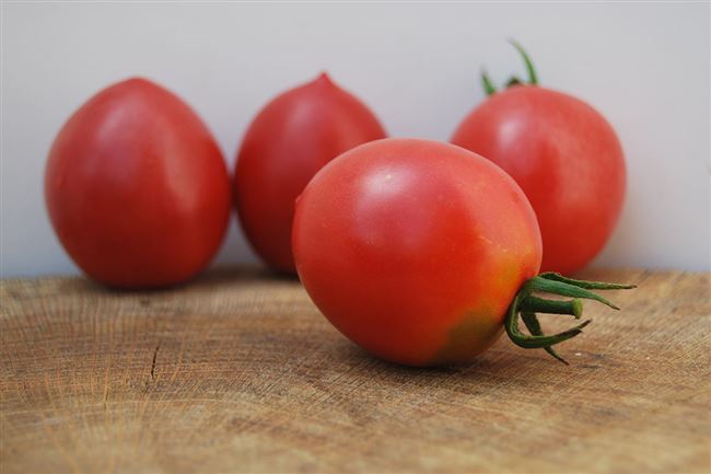 Томат Славянка: характеристика и описание сорта, отзывы об урожайности, фото помидоров