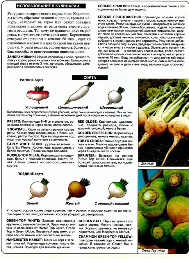 Сбор урожая и закладка на хранение