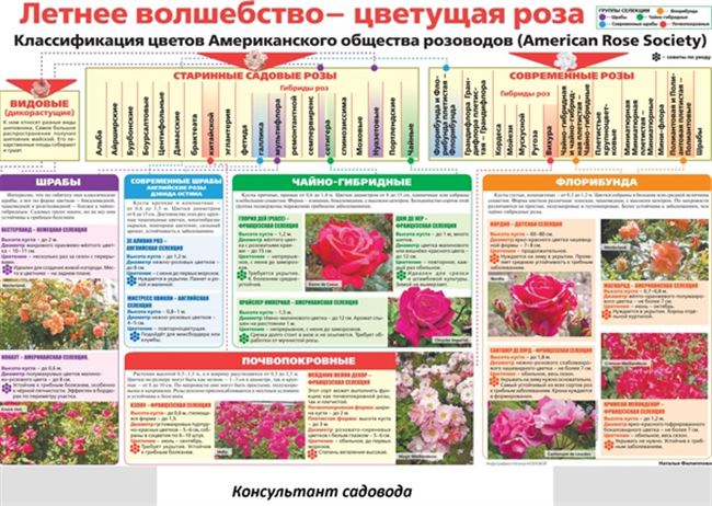 Сроки и правила посадки