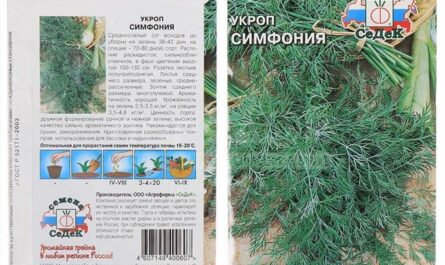 Укроп Симфония - Урожайная грядка