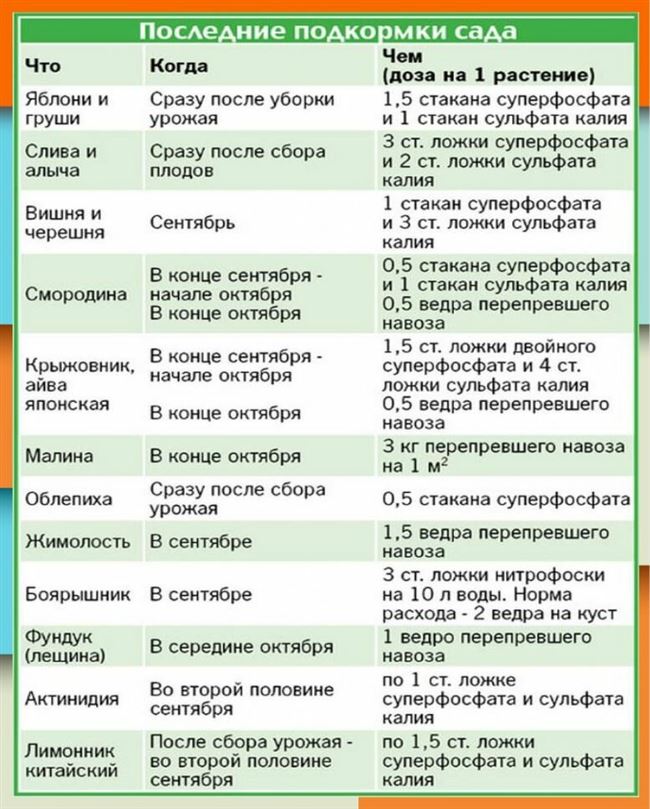 Подкормка вишни осенью и весной