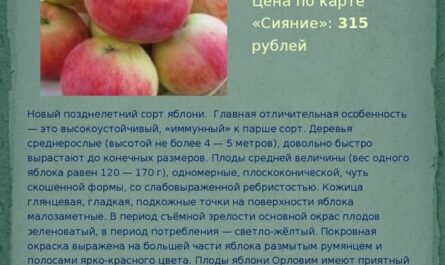 Плюсы и минусы, основные характеристики и особенности яблони Орловим