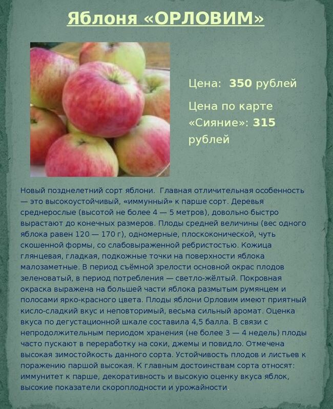 Плюсы и минусы, основные характеристики и особенности яблони Орловим