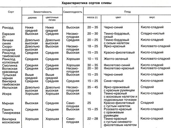 Таблица: химический состав плодов