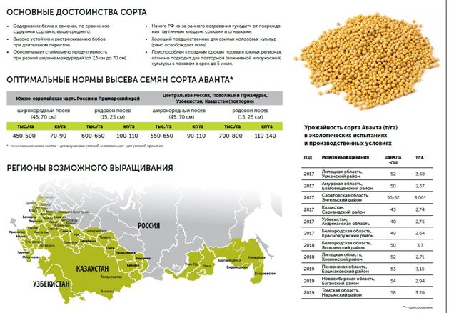 Посадка сои в открытом грунте