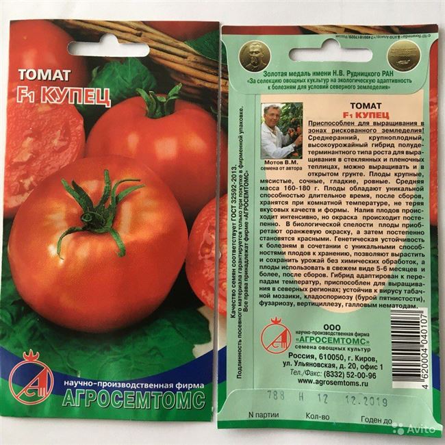 Лучшие неприхотливые кировские томаты для открытого грунта