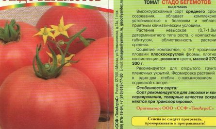 Высокоурожайные и универсальные томаты — Лампа Алладина: описание сорта и его характеристики