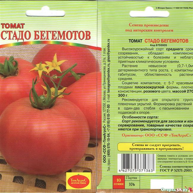 Аладдин (Томат)