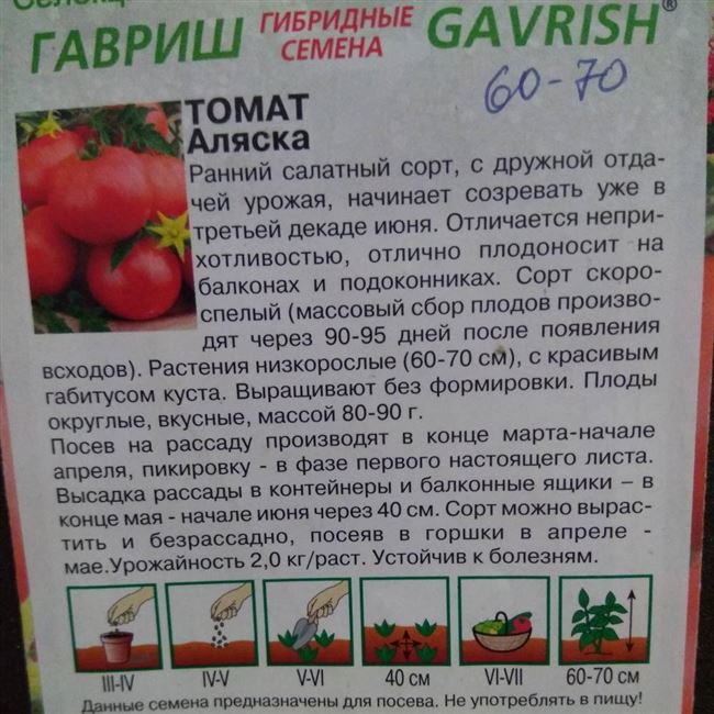 Посадка и уход